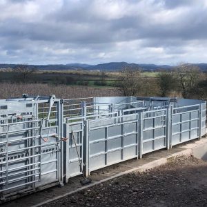 Cattle Crush Handling Systems