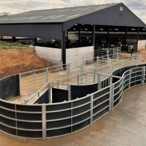 Fixed Cattle Handling