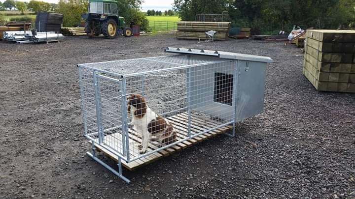 New Zealand Dog Motel